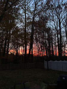 Meet your Posher, Annie